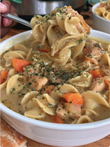 chicken noodle soup