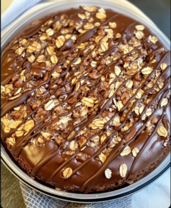 Chocolate Oatmeal Cake