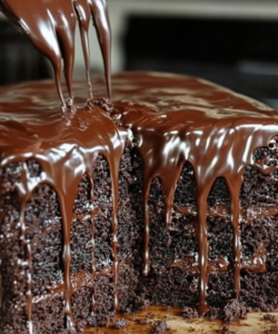 Very wet chocolate cake only