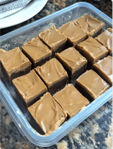Peanut Butter Chocolate 3-ingredient Fudge
