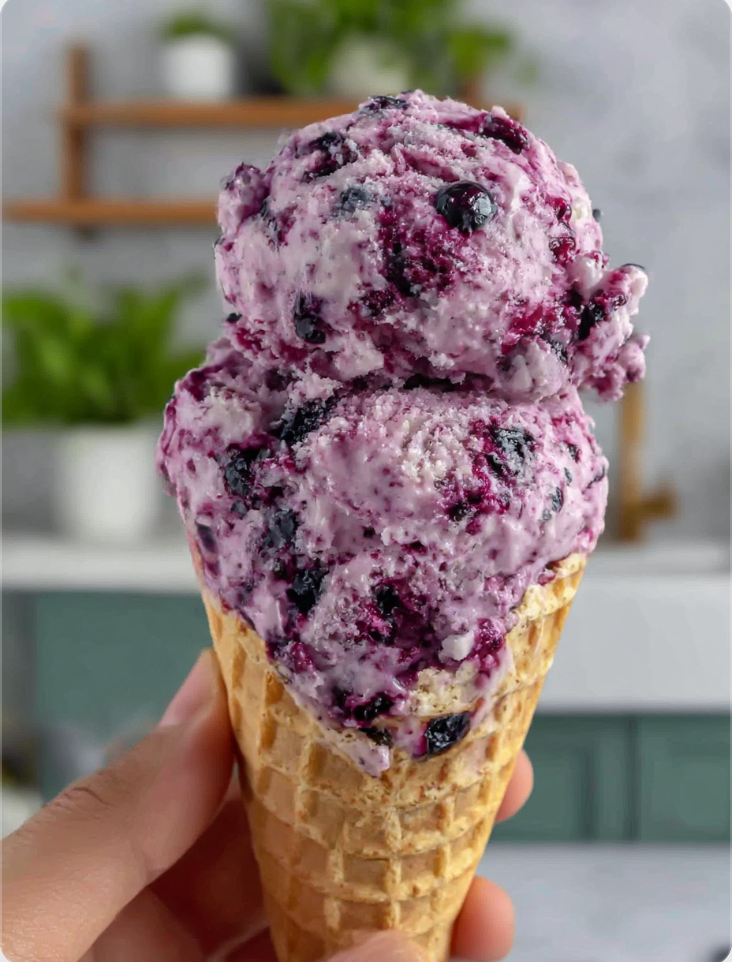 Blueberry Ice Cream Recipe