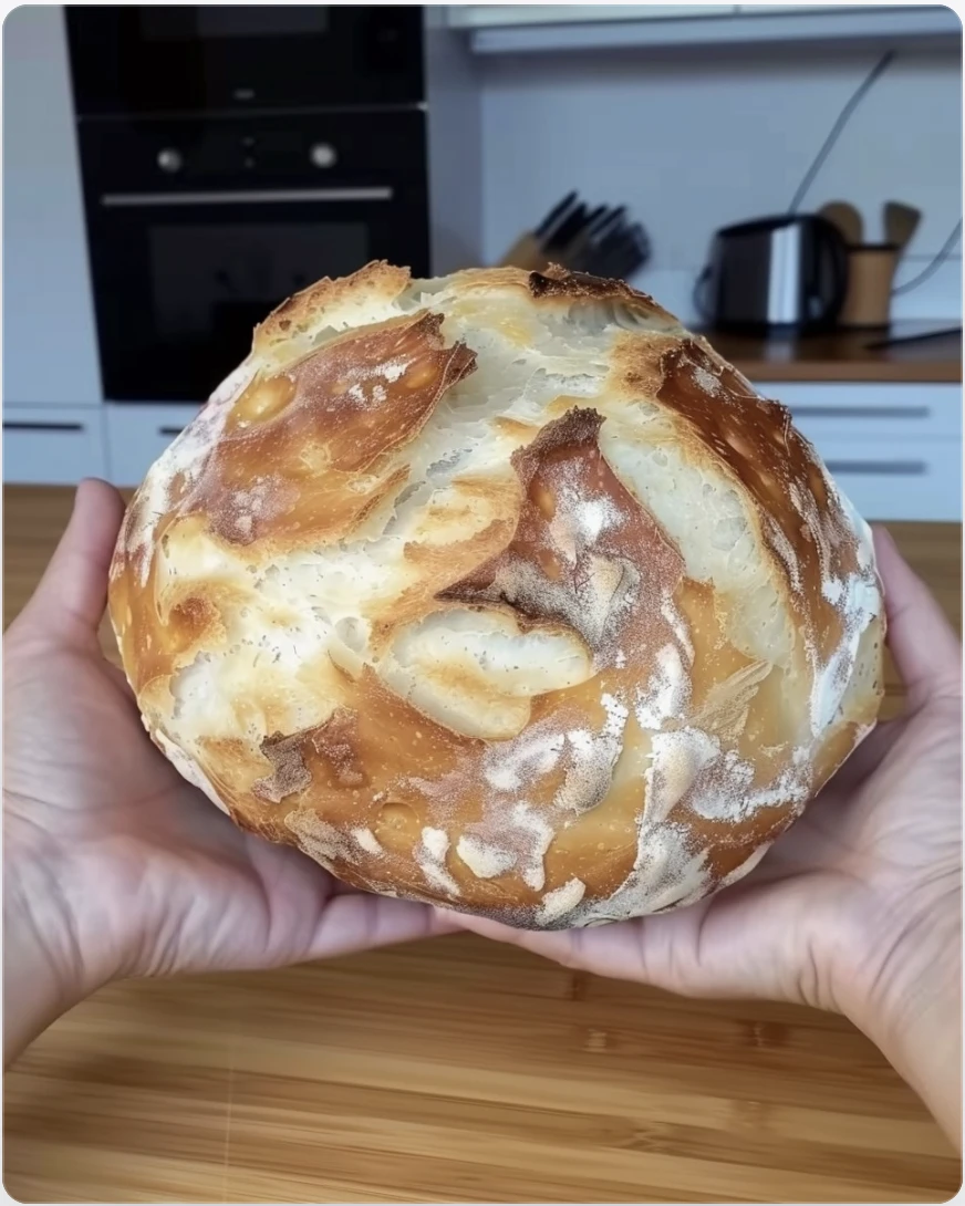 Noknead 5minute Homemade Bread