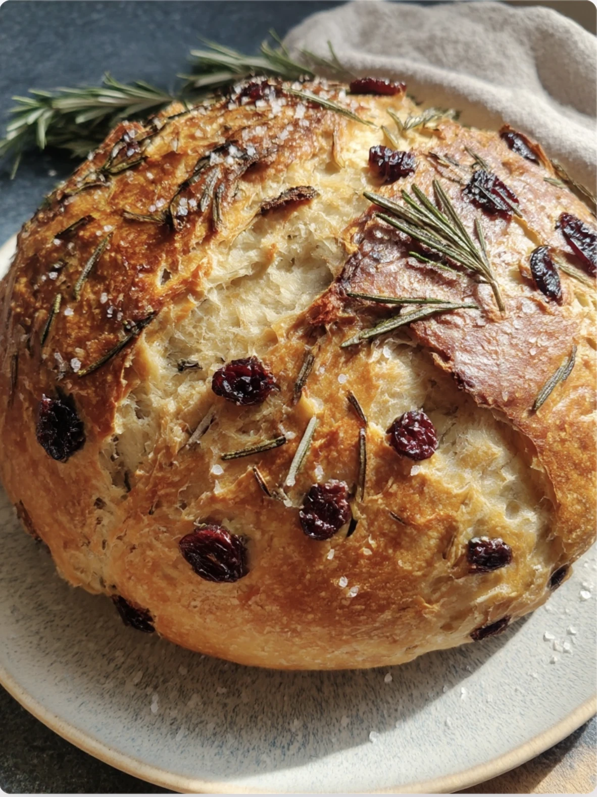 Noknead Cranberry Rosemary Bread