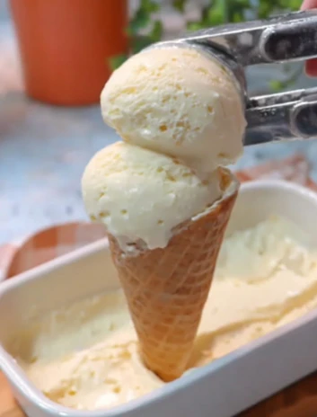 Yummy Creamy Nochurn Vanilla Soft Ice Cream