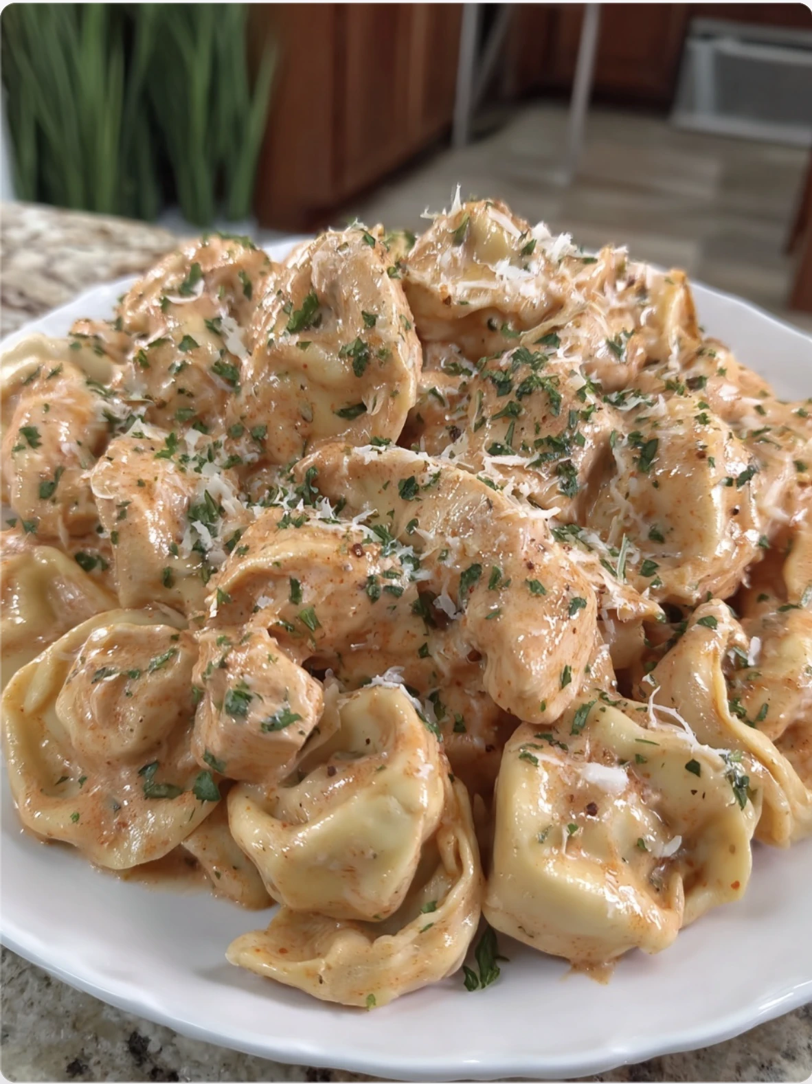 Crockpot Chicken Alfredo Tortellini