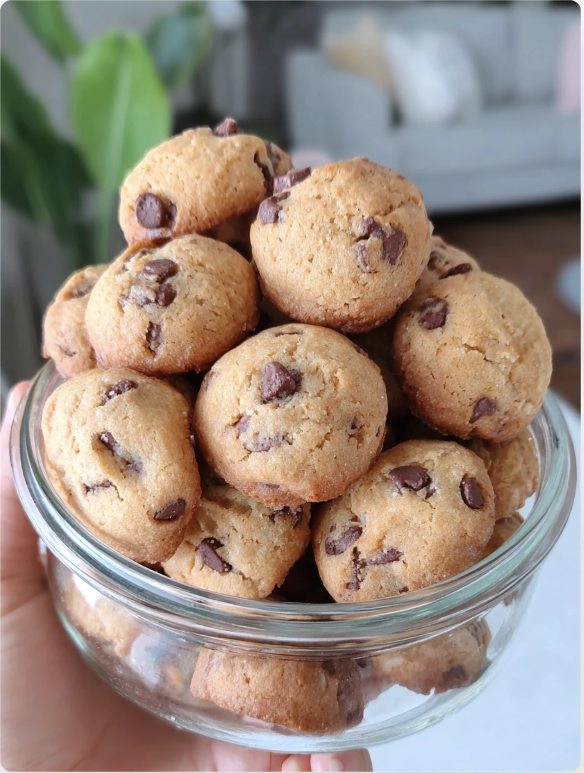 Soft & Chewy Mini Chocolate Chip Cookies