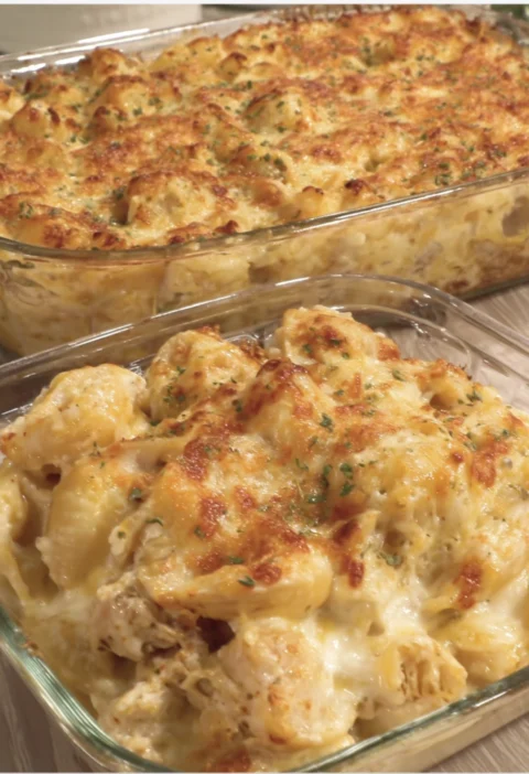 Creamy Baked Shellbows Mac Cheese Gratinstyle