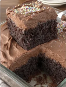 DEPRESSION CHOCOLATE CAKE