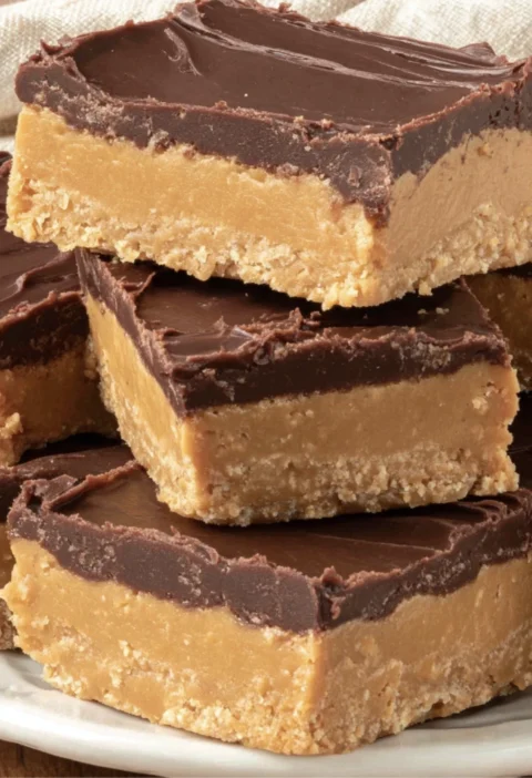 Chocolate Peanut Butter Bars