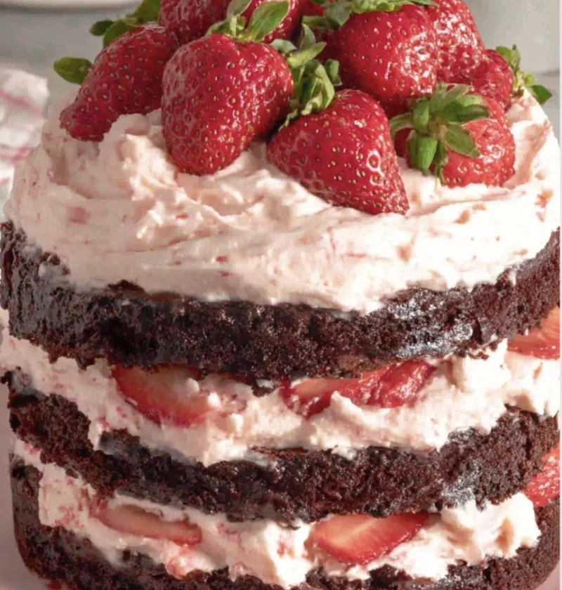 Homemade Dark Chocolate Cake Topped Strawberry Buttercream