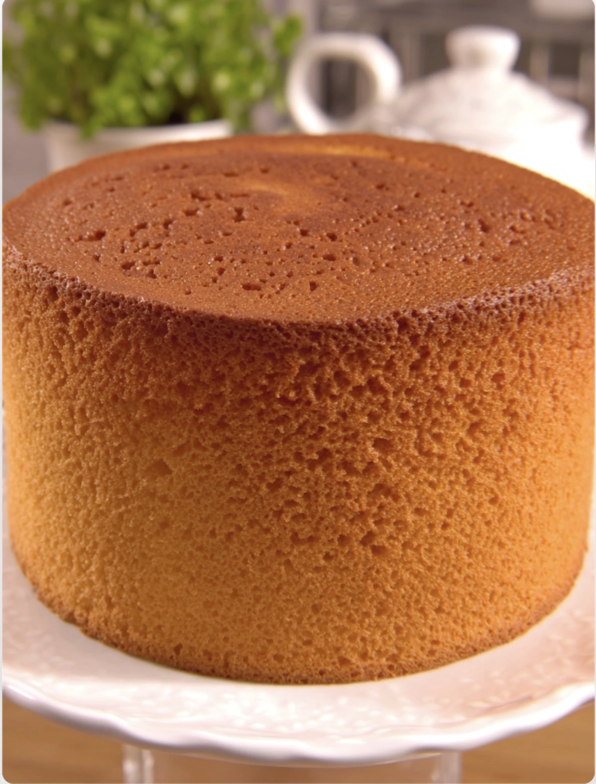 Genoise Sponge Basic Genoise Sponge Cake – dynamicdishes.com