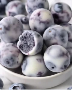 Fresh Blueberry Greek Yogurt Bites