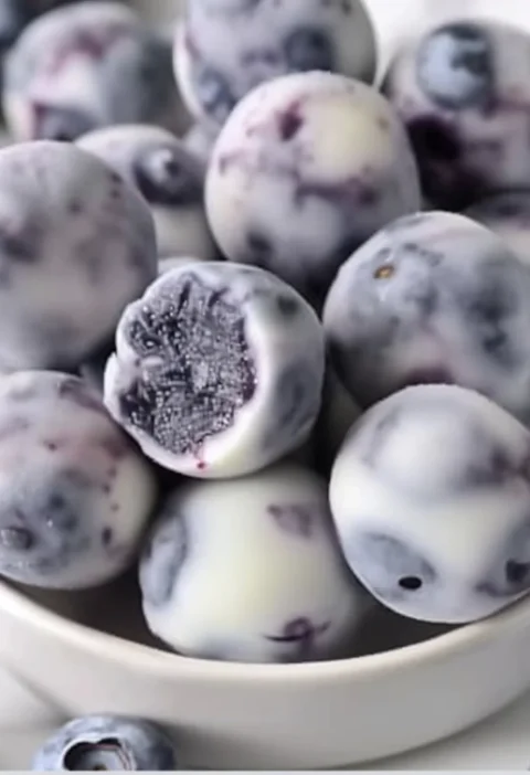 Fresh Blueberry Greek Yogurt Bites