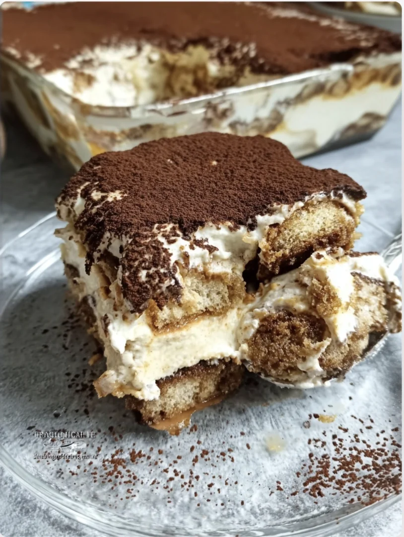 Velvety Cream Cheese Tiramisu