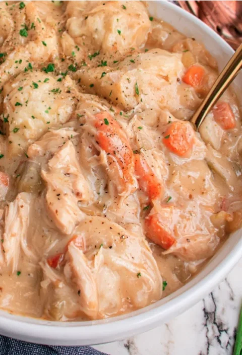 Slow Cooker Chicken and Dumplings